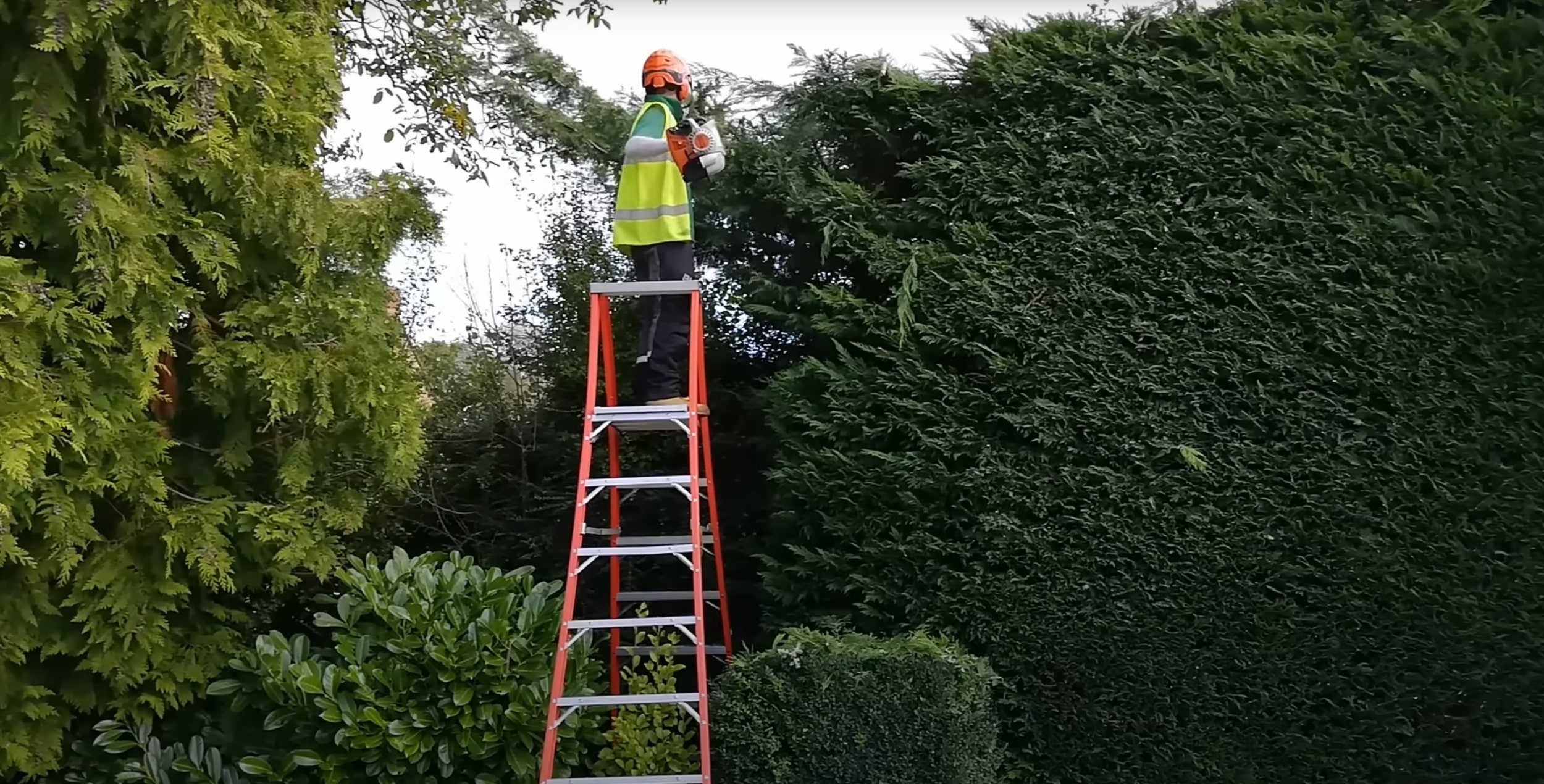 Shrub and hedge trimming service in Pine Bluff, AR